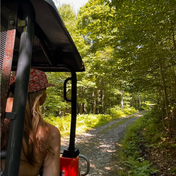 Meet your Posher, Piper - Picture 1 of 1